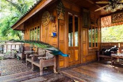 Thai Woodhouse - Peacock Room - image 2