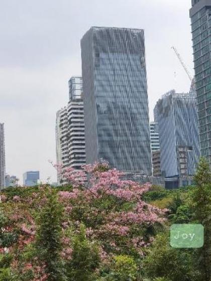 Noble condo-2 Bedroom CondoSky Pool. BTS Asok - image 20